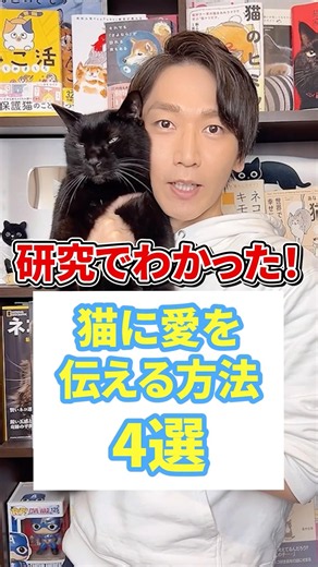 研究で分かった！猫に愛を伝える方法４選 #猫 #猫好き #ねこ