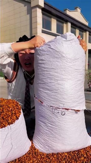 How Pistachios Are Processed | From Harvest to Ready-to-Eat Nuts 🌰 #pistachio