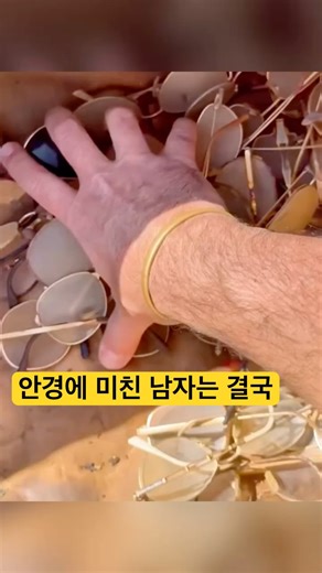 빈지티 안경 수집하던 남자가 찾은 것