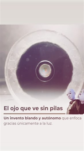 Científicos del Georgia Tech desarrollaron un ojo robótico blando hecho con hidrogel y óxido de grafeno capaz de enfocar automáticamente sin usar energía eléctrica. Funciona absorbiendo la luz del entorno, la transforma en calor y modifica su forma para ajustar el enfoque, imitando el comportamiento de un ojo real. | MetalMecanica