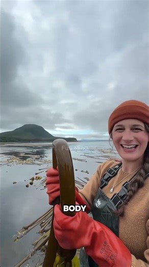 Bullwhip Kelp: The Unique Seaweed Turned Superfood Pickle!