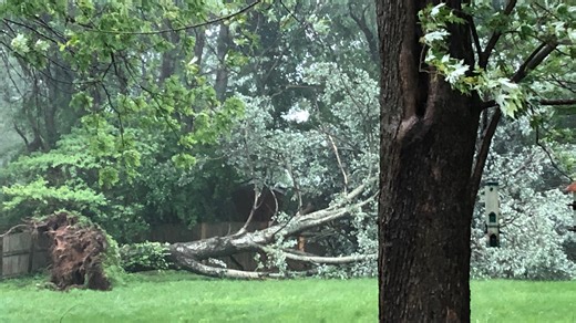 How to track, report power outages in the Springfield area as severe thunderstorms roll through Thursday