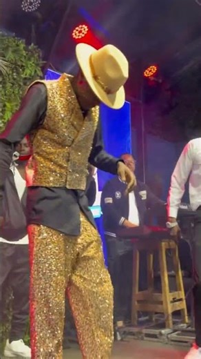 Pallaso ne Dr Jose chameleon #Pallaso #drjosechameleon #music