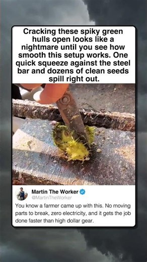 CLEVER SEED HULLING TRICK