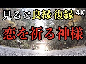 京都最強の恋愛縁結びの神社 良縁 復縁 恋を祈る神様が宿る神社 パワースポットひとり旅#40 4K