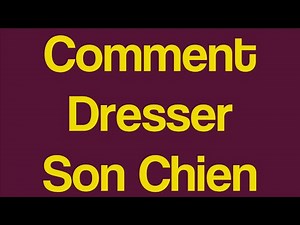 Comment dresser son chien | * La méthode rapide en moins de 15 minutes *