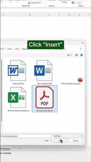 👉 how to add a clickable pdf in Excel