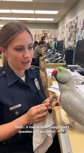 72K views · 2.2K reactions | taco know everything 藍 #talkingbird #talkingparrot #funnybirds #funnypetvideos #funnypets #petlovers | Talk with Taco | Facebook