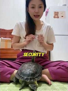A Turtle Crashing Through Her Windshield Led to an Unbelievable Medical Miracle!#animalrescue