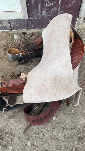 Corriente saddle review and five star saddle blankets. #corrientesaddle #fivestarsaddleblankets #horses #saddles | Ezmillsfarms | Facebook