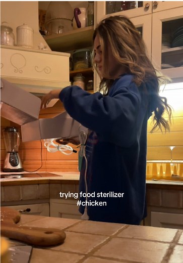 Effective Food Sterilizer: Ozone Technology Explained