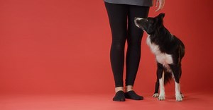 Video by KoolShooters   on Pexels