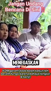 242K views · 14K reactions | Kdm melarang kebun teh dibabat karena akan ada bahaya banjir & longsor #jawabaratistimewa #fyp #kdm #kebunteh | Kdm Officials | Facebook