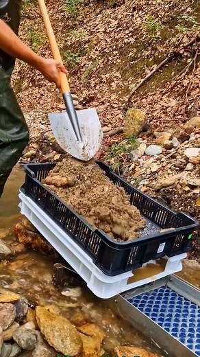 Gold Found! Enhanced Gold Panning with Sluice System in a Mountain Stream #GoldPanning #gold #prospect #prospecting #goldprospecting #goldmining #mining #nature #metal #precious | Gold Prospecting