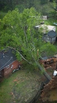Family Recounts Moment Tree Falls On Home