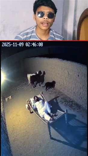 bakriyon ki vajah se bhai yahan so raha tha FIR kya hua