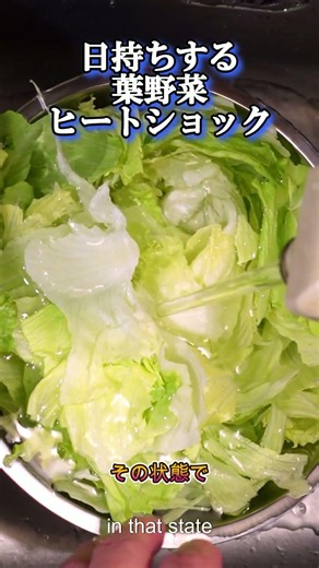日持ちするレタスサラダの作り方｜55℃ヒートショックで4日後もシャキシャキ？