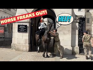 Royal Horse Out of Control, See What Happens Next!!!