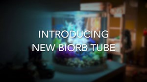 2.8K views · 48 reactions | Have a look at our new TUBE aquariums available in 15, 30 and 35L with MCR light. See all our biOrbs at www.biorb.com. Which one is your favourite? | biOrb | Facebook