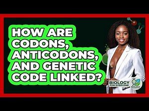 How Are Codons, Anticodons, And Genetic Code Linked? - Biology For Everyone