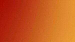 Download Colorful gradient transition for background for free