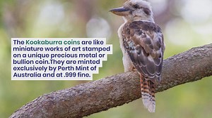Kookaburra coins