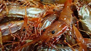 Bizarre Foods with Andrew Zimmern: Season 9 Episode 12 Spleen Soup and Sriracha