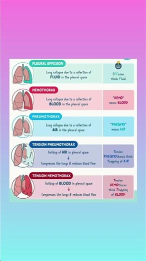 “Chest Tube Indications Made Simple | Pleural Effusion, Pneumothorax, Hemothorax Explained!”