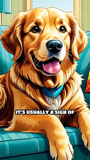 Decode Your Dog's Eyes: Canine Communication Secrets