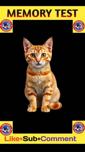 Memory Test Challenge 💯 | #shorts #challenge #memorytest