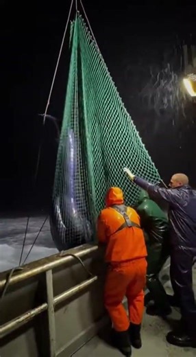 This Was Not Supposed to Be in the Ocean#ocean #mystery #shockingvideo #shorts #viral #sea