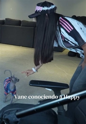 Conociendo a Happy: Una Experiencia Encantadora