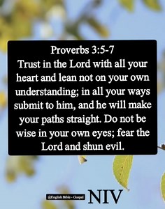 631K views · 10K reactions | Proverbs 3:5-7 Trust in the Lord with all your heart and lean not on your own understanding; in all your ways submit to him, and he will make your paths straight. Do not be wise in your own eyes; fear the Lord and shun evil. English Bible - Gospel | English Bible - Gospel | Facebook