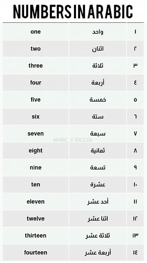 Numbers in Arabic #CapCut #foryou #learnarabiconline #learn