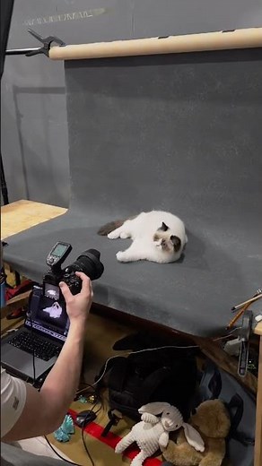 Miami’s First Photoshoot – The Cutest Model!