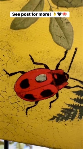 Take a tour of my traveling gift shop. 🖤 Most items seen here are available. 🌛🍄 🌿 | Lori’s Looking Glass