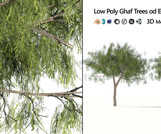 ArtStation - low poly Arabian desert Ghaf trees | Resources