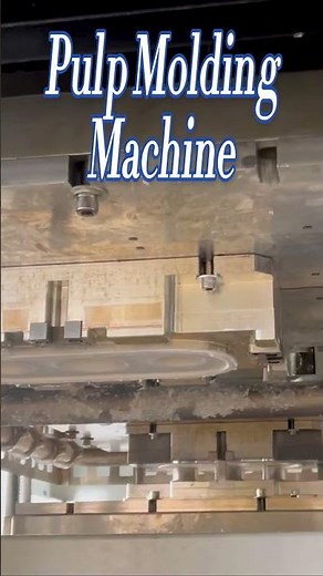 Pulp Molding Machine | Sustainable Packaging with Speed and Precision