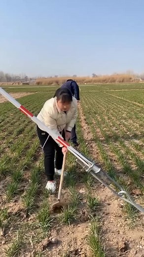 Funny Agricultural Moments with Friends on the Field