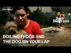 Boiling frogs and the dog on your lap