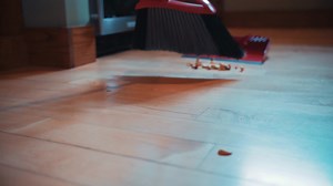 189 reactions · 13 shares | You’re an athlete no matter what you’re doing—from housework to hitting the gym. Springfield Clinic’s Orthopedic Walk-In Clinic is here for every step, jump and lift along the way, providing the care you need to keep moving forward. | Springfield Clinic | Facebook