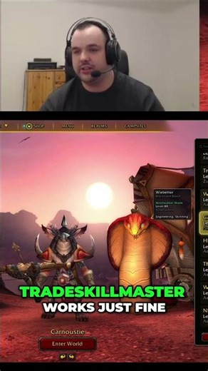 World of Warcraft Auction House Strategy TSM Guide