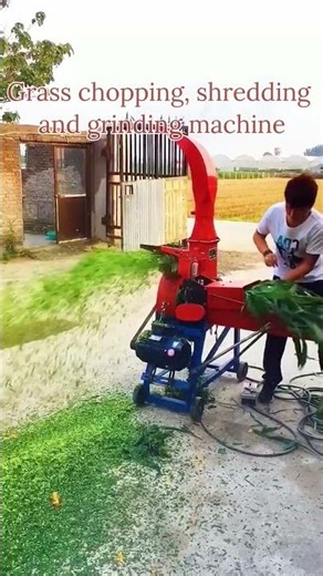 #feedpelletgrindingmill #machine #exportwoodpellet