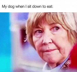 The Office Memes on Reels