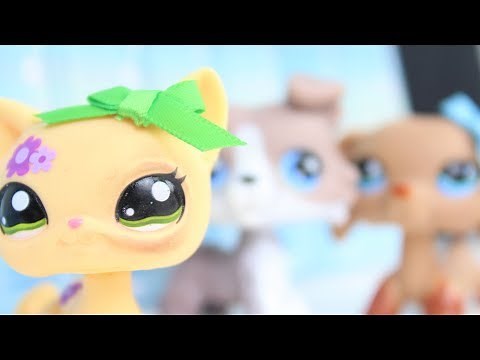 LPS: Bad Boys & Leather Jackets ~#6 (Secrets & Explanation)