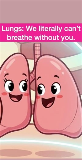 The human rib cage #anatomy #anatomyanimation #animation