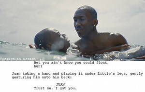 35K views · 1K reactions | Moonlight (2016) • Directed by: Barry Jenkins • Written by: Barry Jenkins & Tarell Alvin McCraney (story). | Screenplayed | Facebook