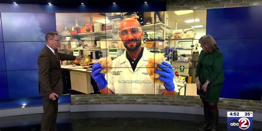 How toothpaste made from hair could protect your teeth