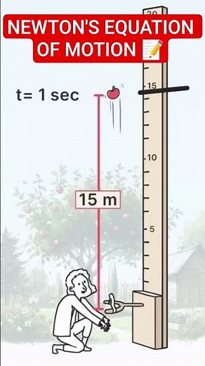 Newton's Equation of Motion 📝📚