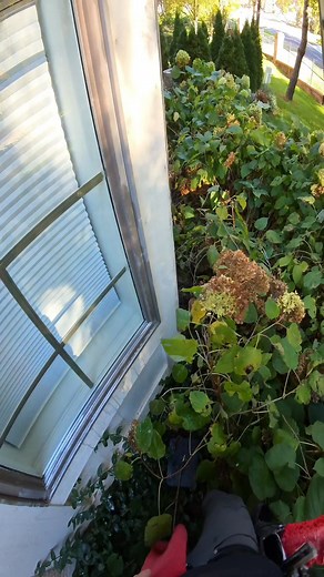 14K views · 265 reactions | How To "Dive Bomb" | My Favorite Window Cleaning Technique #prowindowcleaning #windowwashing #windowcleaningtips | Luke The Window Cleaner | Facebook